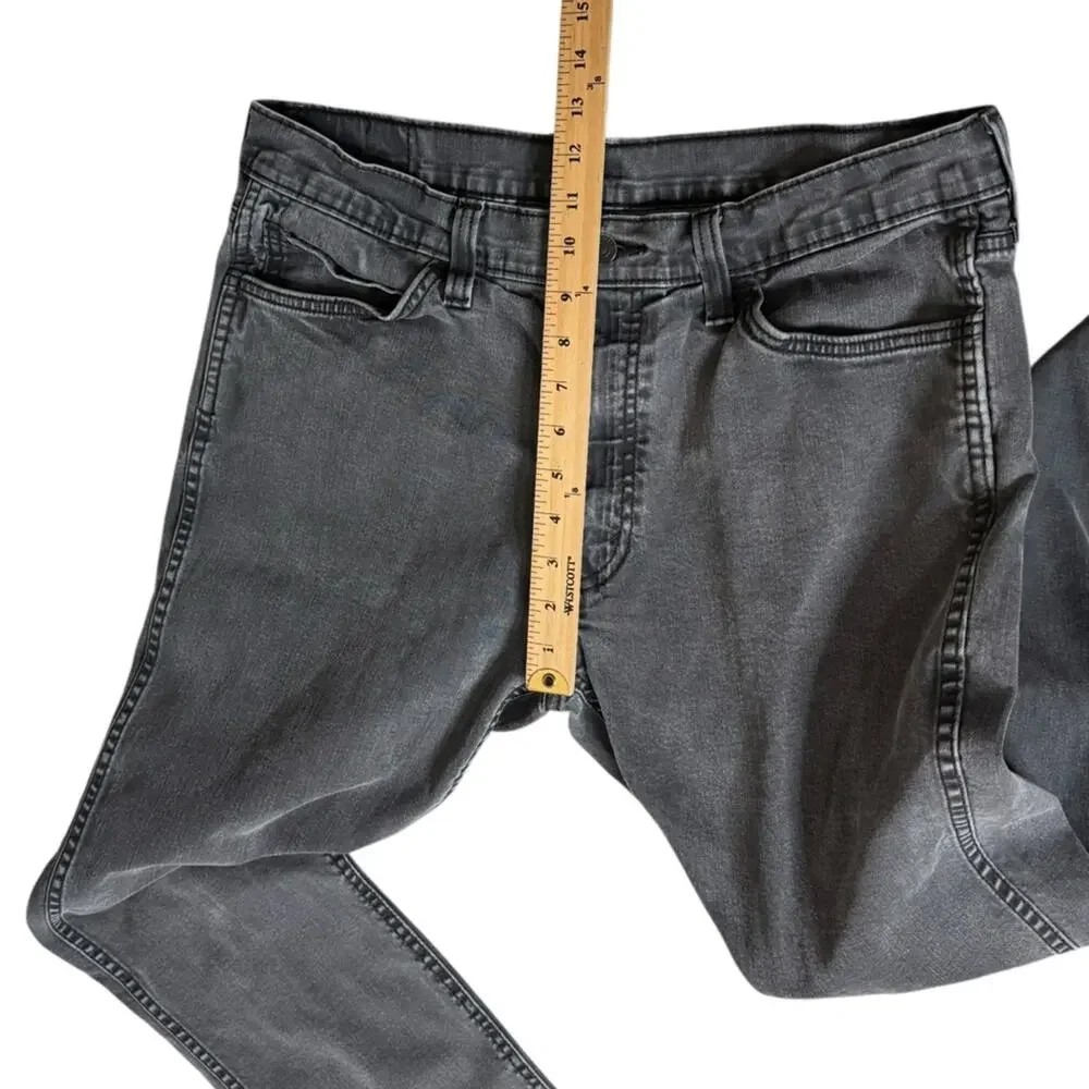 Levis levis 541